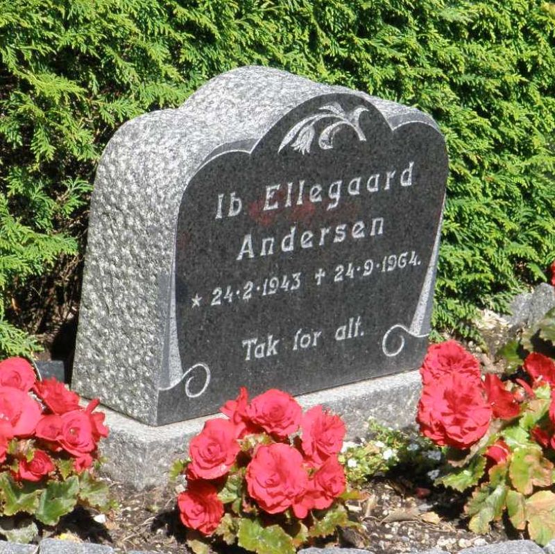 Ib Ellegaard Andersen.JPG